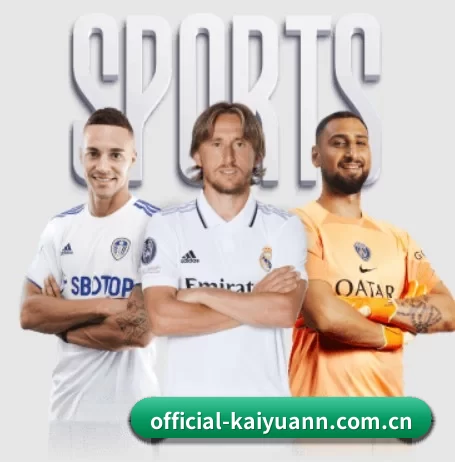 official-kaiyuann.com.cn的方向
